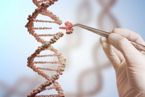 TheMerkle Gene Editing HIV