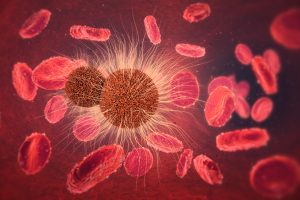 TheMerkle Harvest Energy Blood Stream
