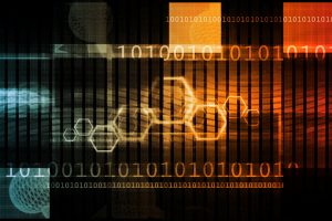 TheMerkle jaff Darknet