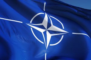 TheMerkle NATO AI