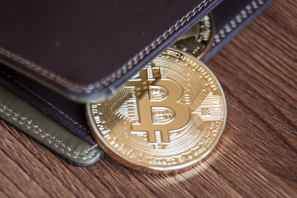TheMerkle BitPay Wallet Review