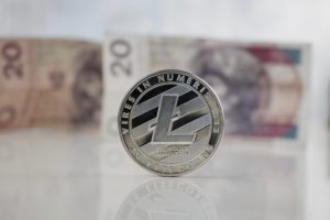 TheMerkle Litecoin Merchant Services