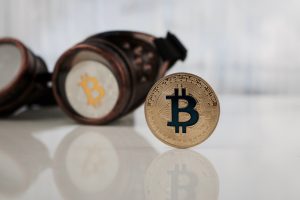 TheMerkle Bitcoin Google Trends Languages