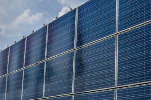 TheMerkle Trump Wall Solar Panels