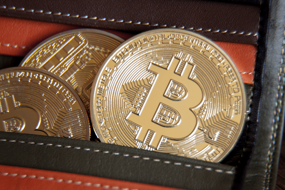 TheMerkle Bitcoin Testnet Forks
