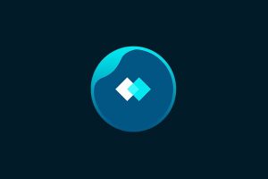 skincoin logo