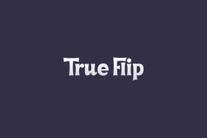 trueflip logo