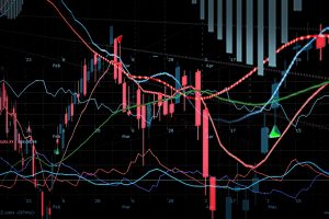 bitcoin mania chart