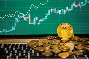 TheMerkle Bitcoin Cash Price 500