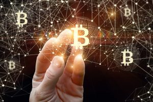 TheMerkle Bitcoin Cash Price Crash