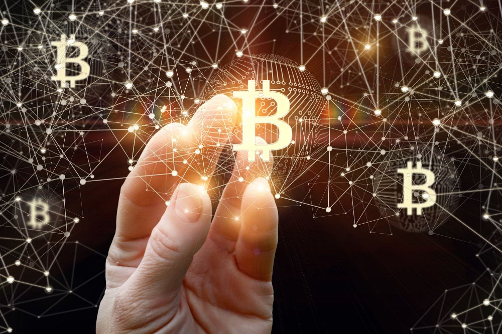 TheMerkle Bitcoin Cash Price Crash