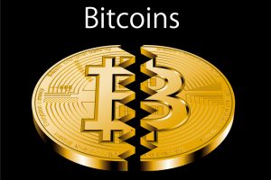 TheMerkle BCash Bitcoin ZCash