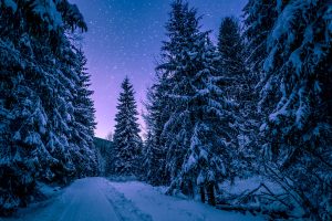 crypto winter