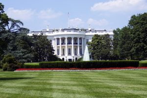 The Merkle White House Silicon Valley Novel Coronavirus