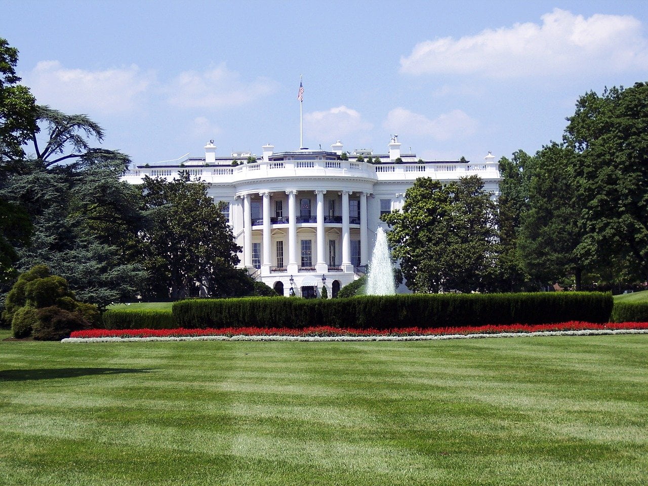 The Merkle White House Silicon Valley Novel Coronavirus