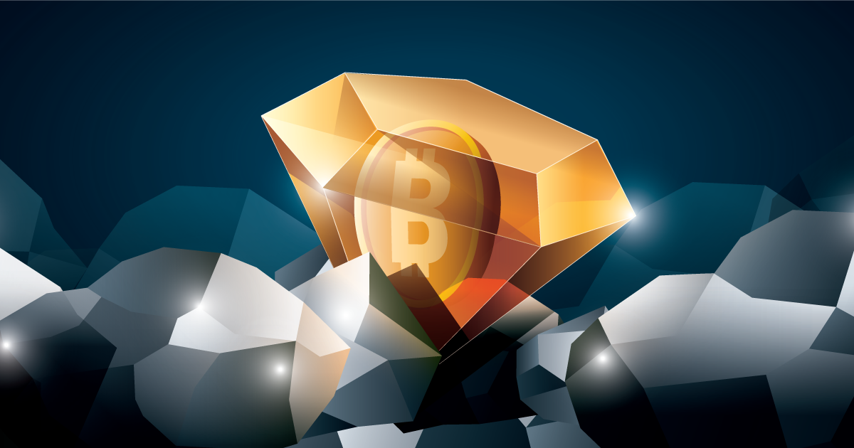 bitcoin bull run