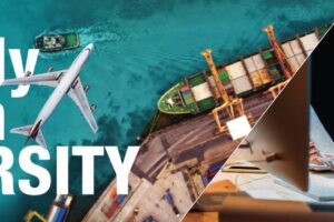 supply chain diversity
