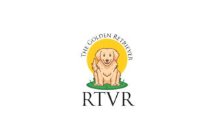 the golden retriever