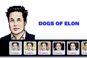 dogsofelon