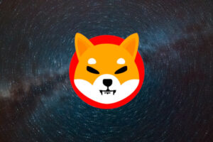 shibainu coin