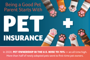 pet insurance