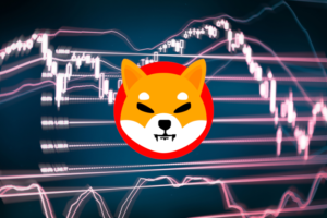 shiba inu coin