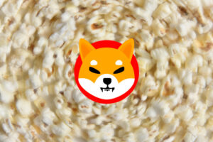 shibainu price