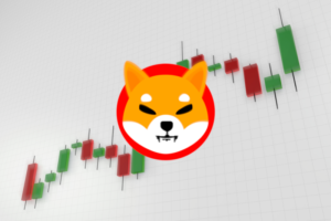 shibainu price
