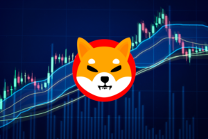 shibainu