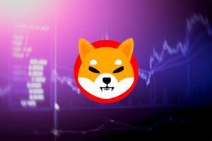 shiba inu coin