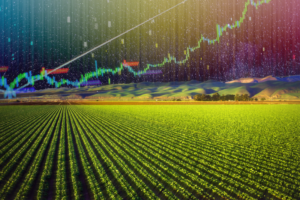 yield farming
