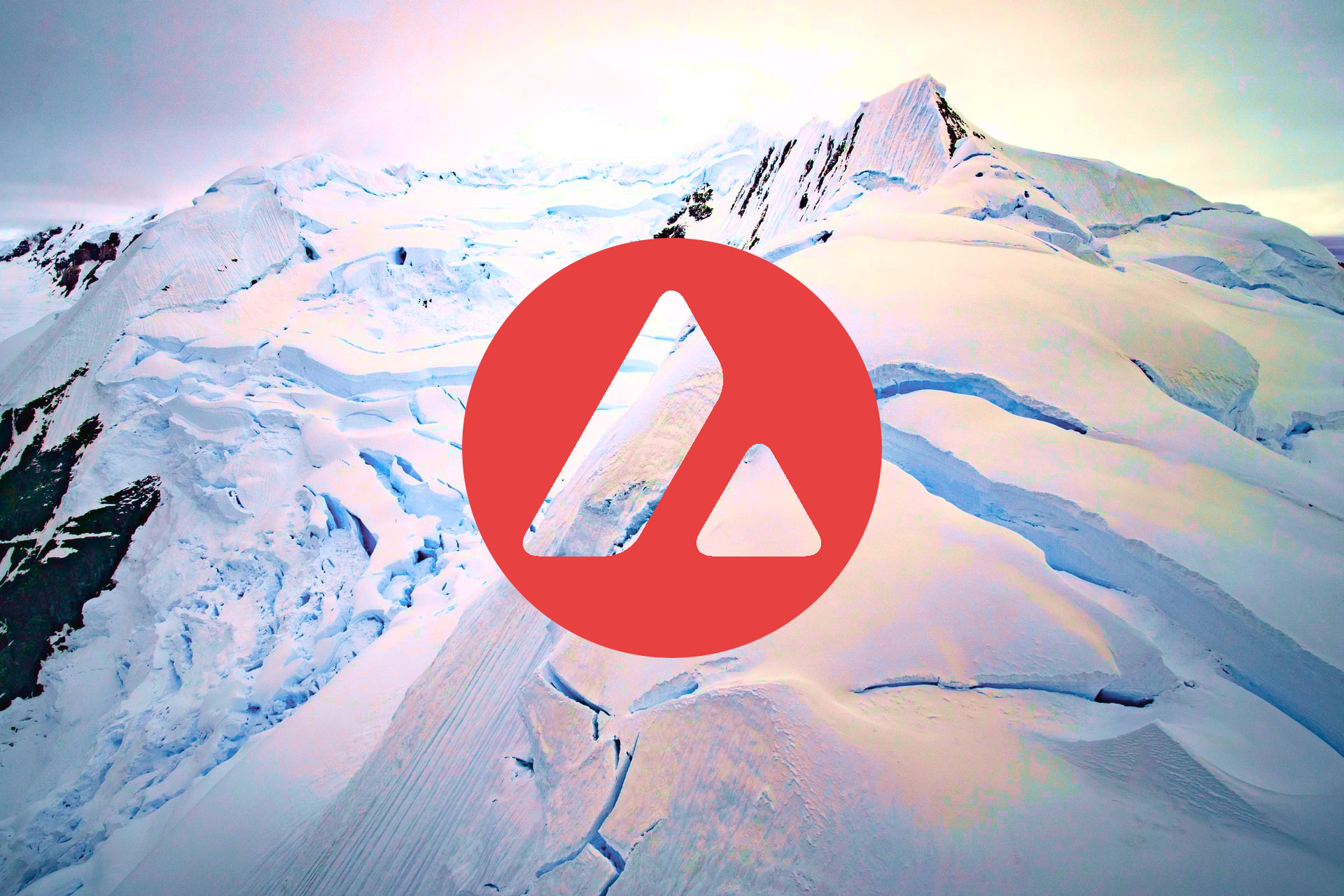 avalanche avax