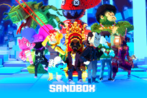 the sandbox