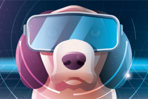 pets metaverse