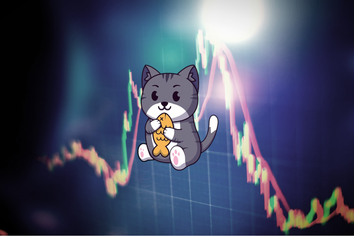 meme coins