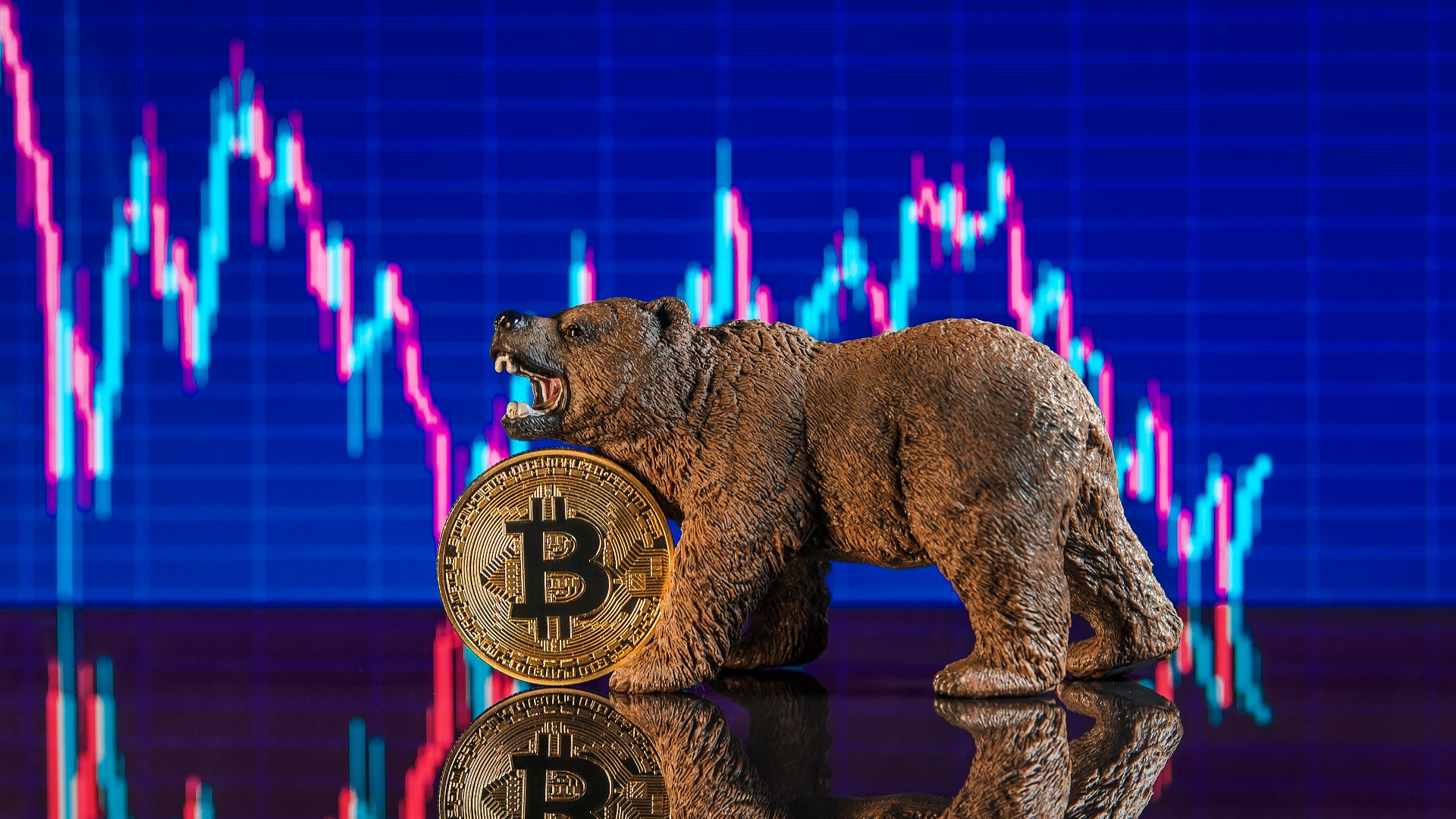 bitcoin price stock market crash