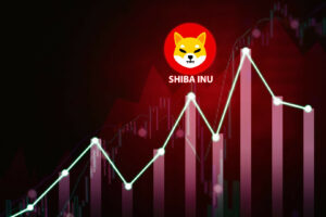 shiba inu coin