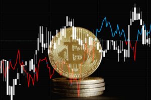 Bitcoin bull market