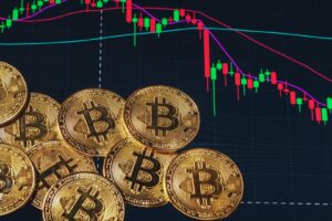 bitcoin price themerkle