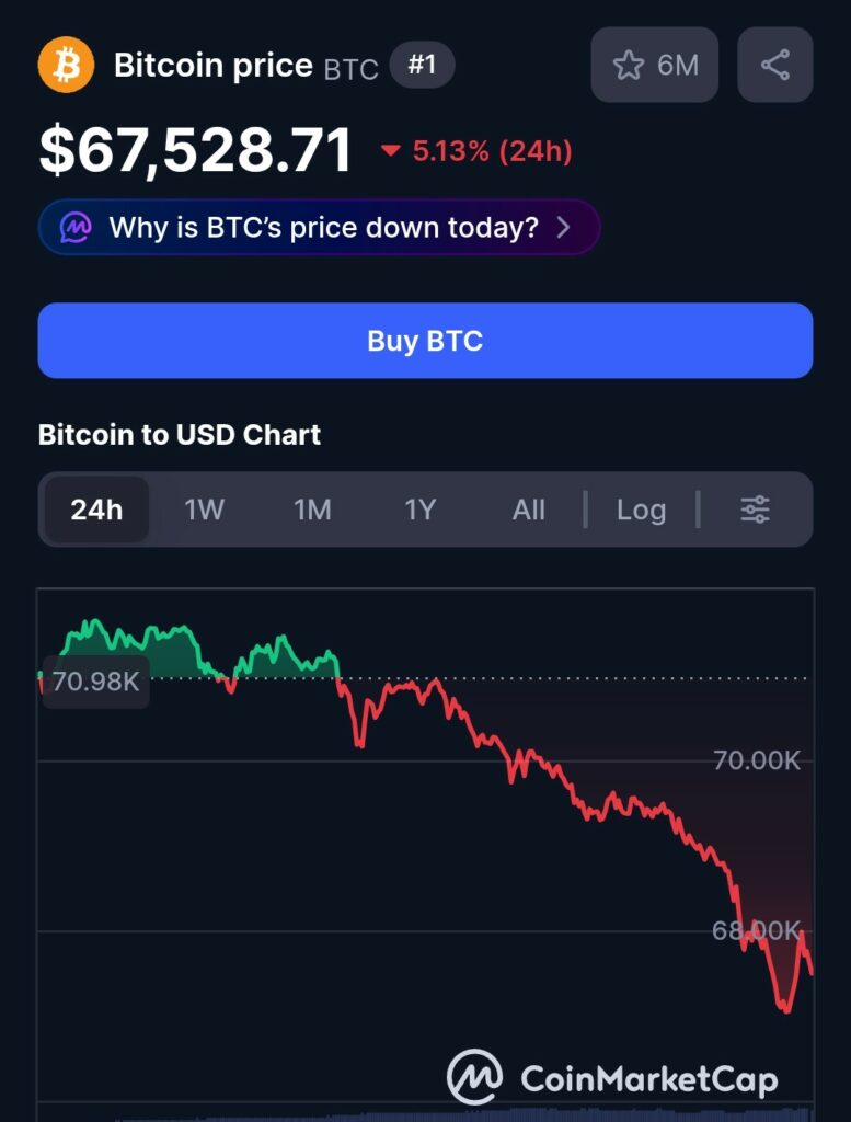 Bitcoin Crashes Below $67,000 as $700 Million Wiped From Crypto Market in Hours
