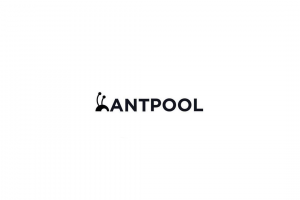 TheMerkle Antpool BCH Burning