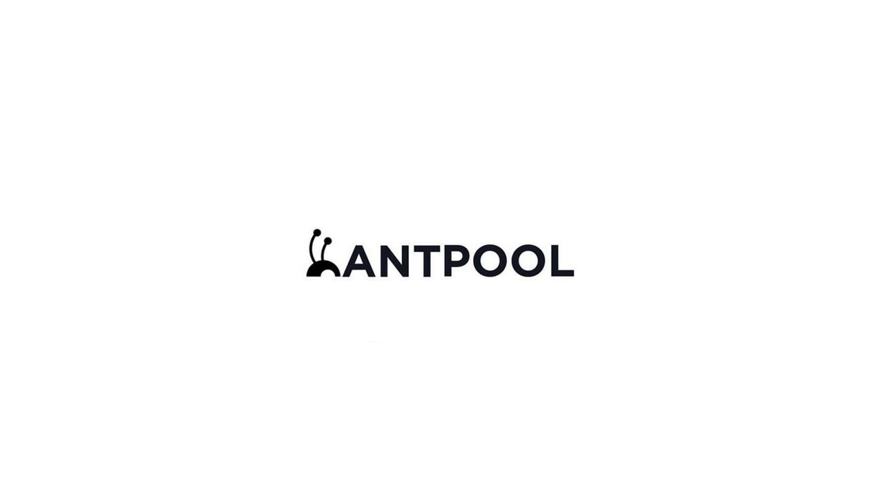 TheMerkle Antpool BCH Burning