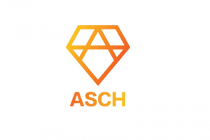 TheMerkle Asch