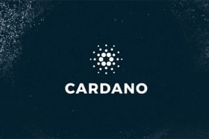 TheMerkle Cardano Logo