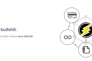 TheMerkle Electronero