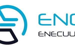 TheMerkle Enecuum