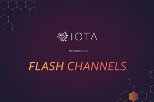TheMerkle IOTA Flash Channels