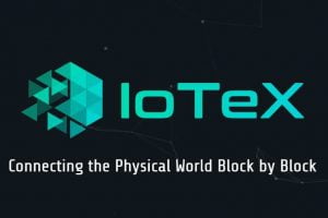 TheMerkle IoTeX