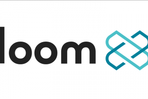 TheMerkle Loom Network