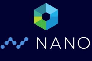 TheMerkle Nano Logo